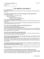 Ôn tập Sinh11
