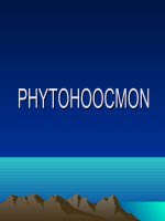 Phytohoocmon pptx