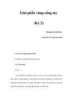 Giải phẫu vùng cẳng tay (Kỳ 2) pdf