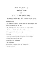 Thế giới động vật - Tuần 3 - Thứ 4 - Tạo hình : Vẽ một số côn trùng pptx