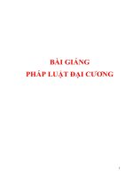 bài giảng về  pháp luật đại cương
