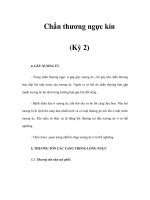 Chấn thương ngực kín (Kỳ 2) docx