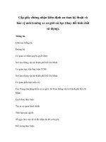 Cấp giấy chứng nhận kiểm định an tòan kỹ thuật và bảo vệ môi trường xe cơ giới cải tạo (thay đổi tính chất sử dụng). pptx