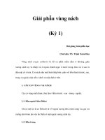 Giải phẫu vùng nách (Kỳ 1) pdf