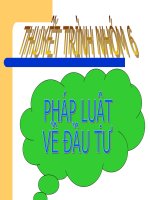bài thuyết trình pháp luật về đầu tư