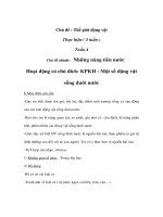 Thế giới động vật - Tuần 4 - Thứ 2 - KPKH : Một số động vật sống dưới nước pot