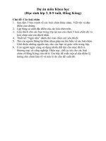 Sản phẩm học theo dự án: Các loài chim