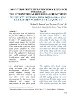 Nghiên cứu hiệu quả phân bón dài hạn cho lúa tại Viện nghiên cứu lúa Quốc tế