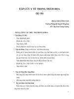 BÀI GIẢNG CẤP CỨU Y TẾ TRONG THẢM HỌA (Kỳ 10) ppsx