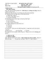 Đề thi giữa kì II_ T.Việt 2