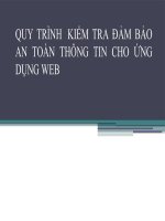 QUY TRÌNH KIỂM TRA ĐẢM BẢO AN TOÀN THÔNG TIN CHO ỨNG DỤNG WEB