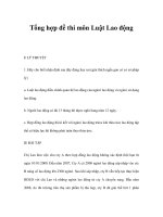 tổng hợp đề thi môn luật lao động