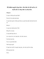 Bổ nhiệm ngạch công chức, viên chức do thi tuyển, xét tuyển (kể cả công chức xã, thị trấn) doc