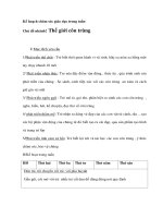 Kế hoạch tuần - Thế giới côn trùng pot