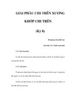 GIẢI PHẪU CHI TRÊN XƯƠNG KHỚP CHI TRÊN (Kỳ 8) ppt