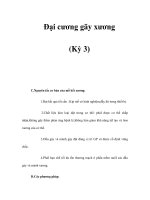 Đại cương gãy xương (Kỳ 3) docx