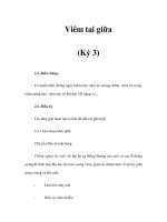 Viêm tai giữa (Kỳ 3) docx