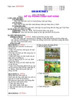 Giao an mi thuat 9 bai 5