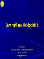 Cảm nghĩ sau khi đọc bài 1
