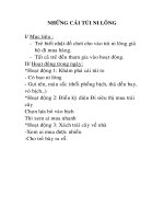 Những cái túi ni lông