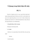 X Quang trong bệnh thận tiết niệu (Kỳ 1) ppsx