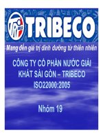 thuyết trình chiến lược kinh doanh của công ty cổ phần nước giải khát sài gòn  tribeco iso 22000 2005