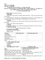 giao an dia 11 ca nam