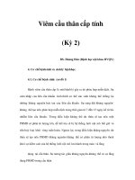 Viêm cầu thân cấp tính (Kỳ 2) pdf