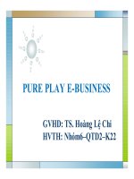 Thuyết trình: PURE PLAY EBUSINESS