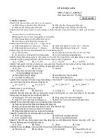 Thi thử HK II Lý_11 số 10