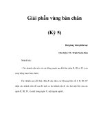 Giải phẫu vùng bàn chân (Kỳ 5) ppsx