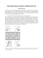 Ứng dụng hạt nanô từ tính ô xít sắt pdf