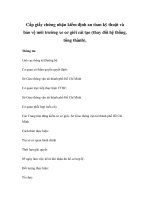 Cấp giấy chứng nhận kiểm định an tòan kỹ thuật và bảo vệ môi trường xe cơ giới cải tạo (thay đổi hệ thống, tổng thành). potx