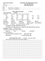 Đề KT  TV 1 giữa kì II