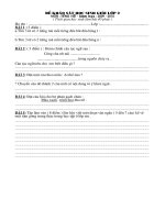 DE HSG MON T.VIET 2 - 09-10