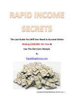 Rapid income secrets make money online guide