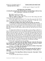 Kế hoạch cá nhân làm theo...( chuyên đề 4)