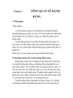 quy trình công nghệ gia công bánh răng bọc đùi cho xe máy công binh và tìm hiểu máy mài răng 5B832, chương 1 pps