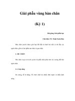 Giải phẫu vùng bàn chân (Kỳ 1) ppsx