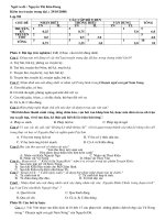 Kiểm tra văn học trung đại