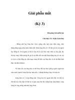 Giải phẫu mắt (Kỳ 3) ppt