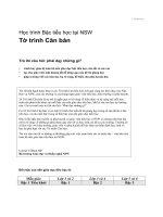 Tờ trình Căn bản - Trả lời câu hỏi: phải dạy những gì? pps