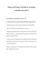 những vấn đề chung về luật hình sự và tội phạm