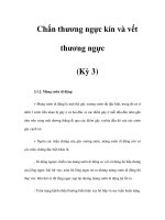 Chấn thương ngực kín và vết thương ngực (Kỳ 3) pps