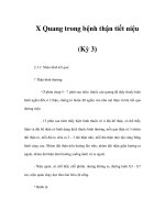 X Quang trong bệnh thận tiết niệu (Kỳ 3) pdf