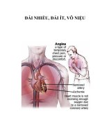 ĐÁI NHIỀU, ĐÁI ÍT, VÔ NIỆU pdf