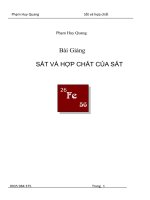 Lý thuyết Sắt (bản Full)