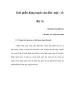 Giải phẫu động mạch của đầu- mặt - cổ (Kỳ 3) pptx