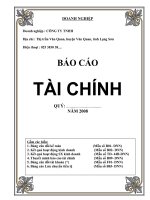 Báo cáo tài chinh doanh nghiệp 2008