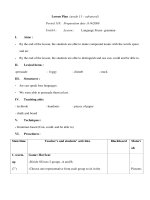 Giáo án Anh văn lớp 11 - Unit14 - Lesson : Language Focus pptx